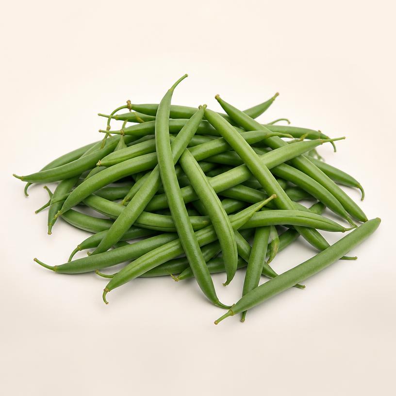 Illustration of Green Beans