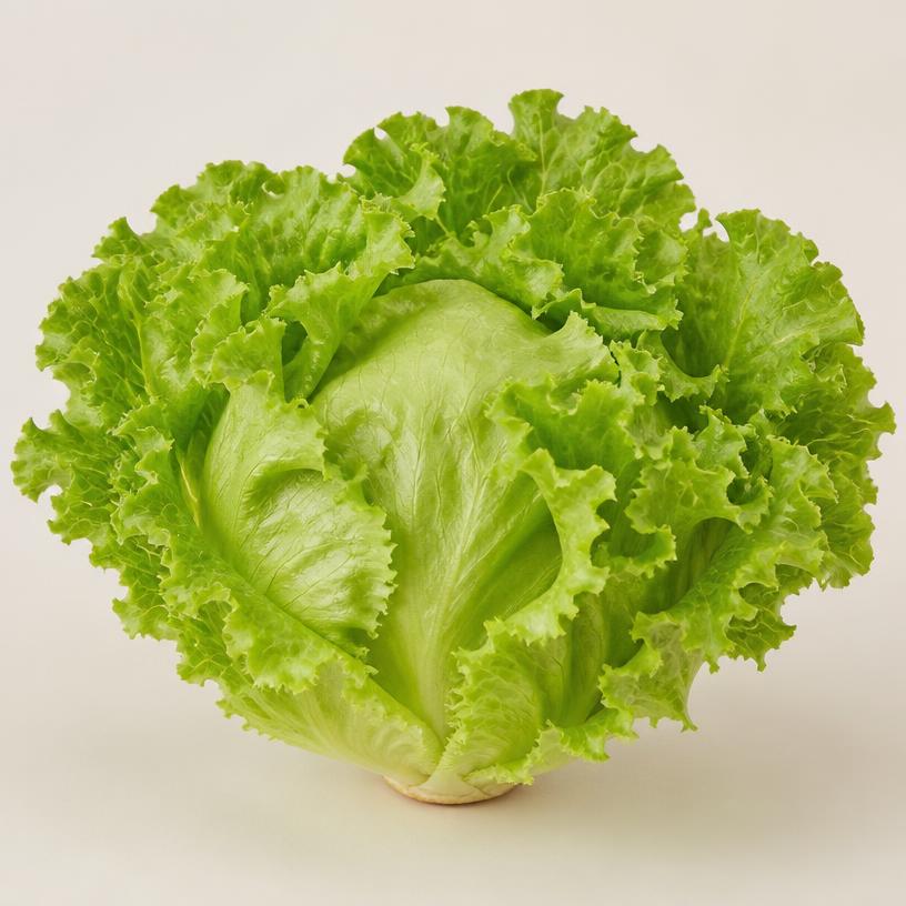 Photo of Lettuce