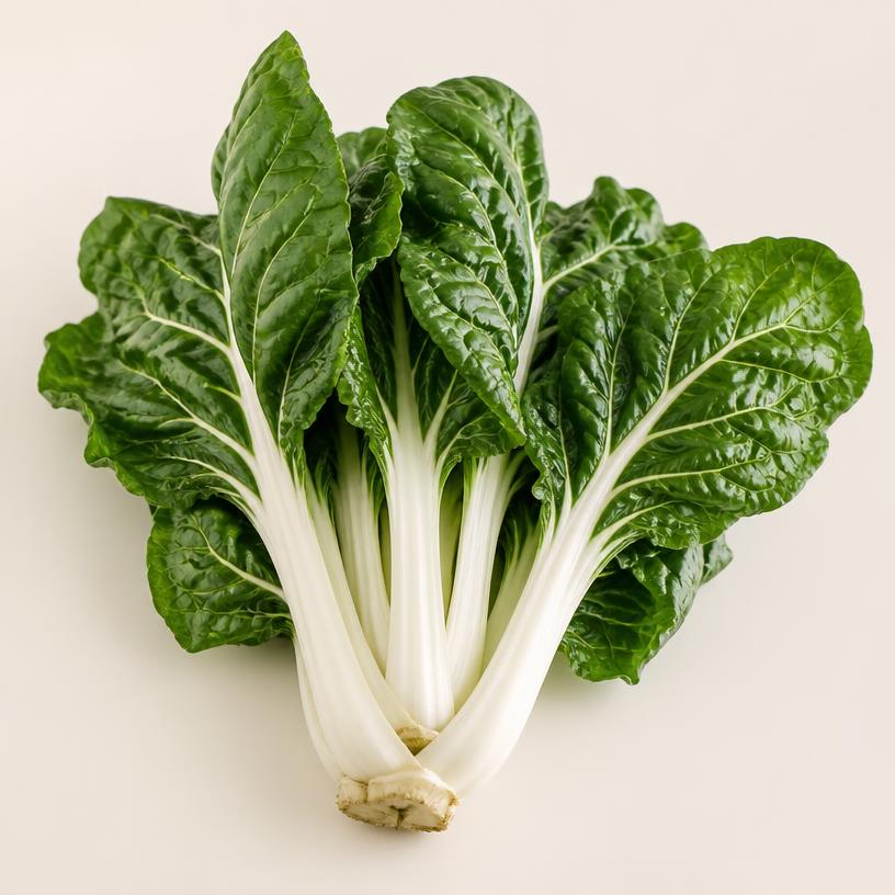 Illustration of Swiss Chard